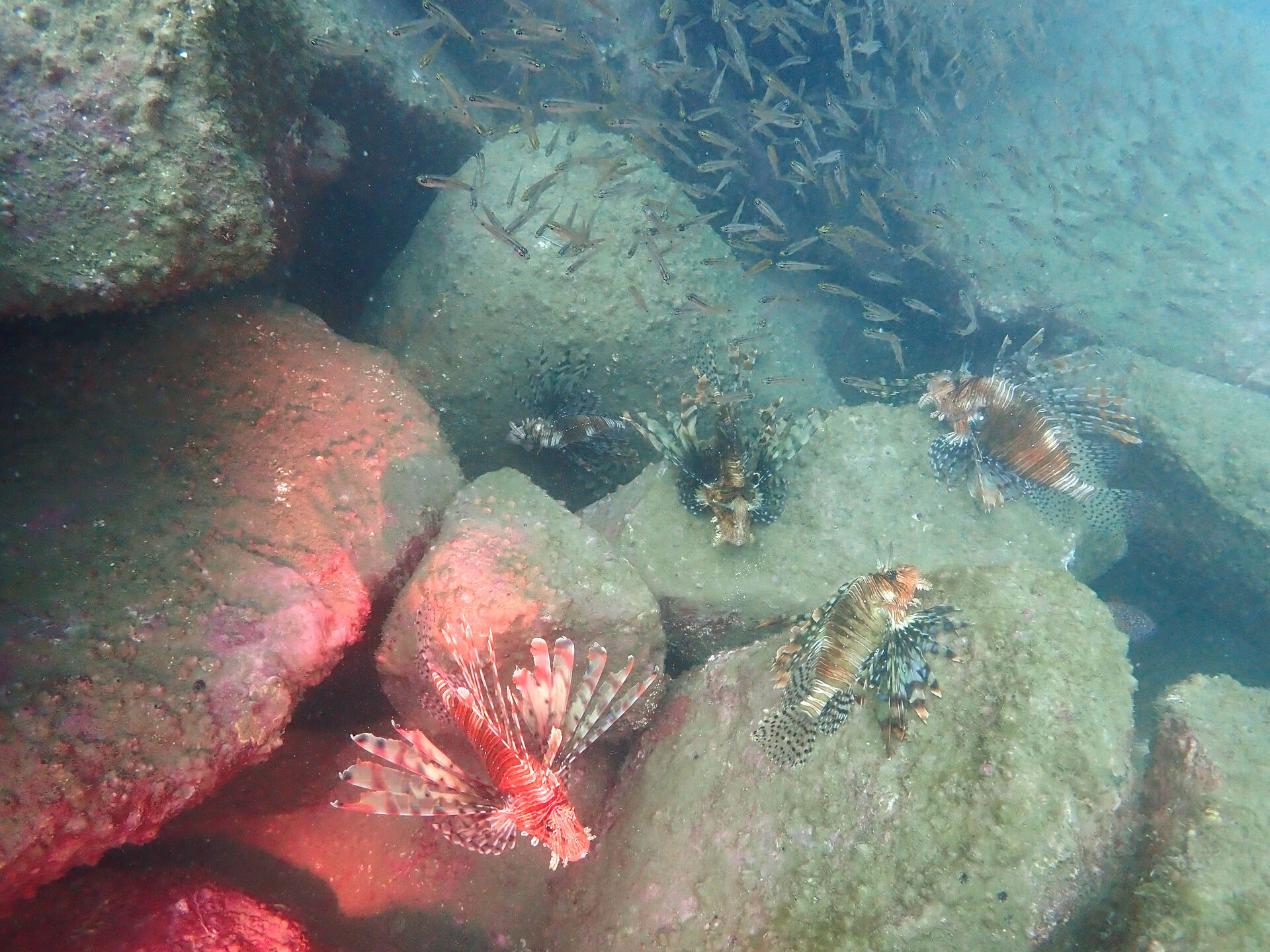 @rk.diving