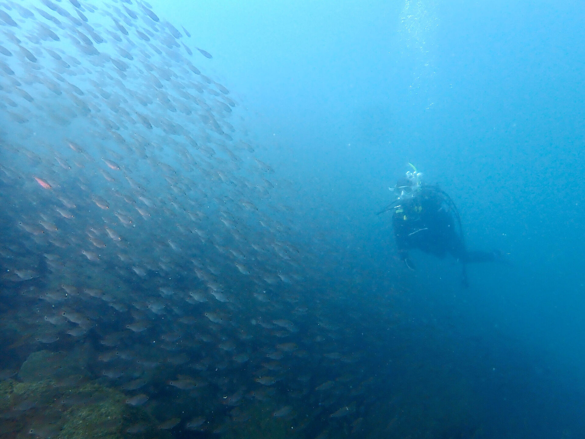 @rk.diving