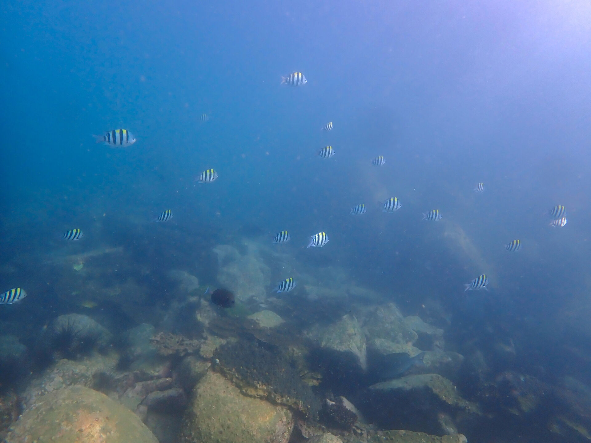 @rk.diving