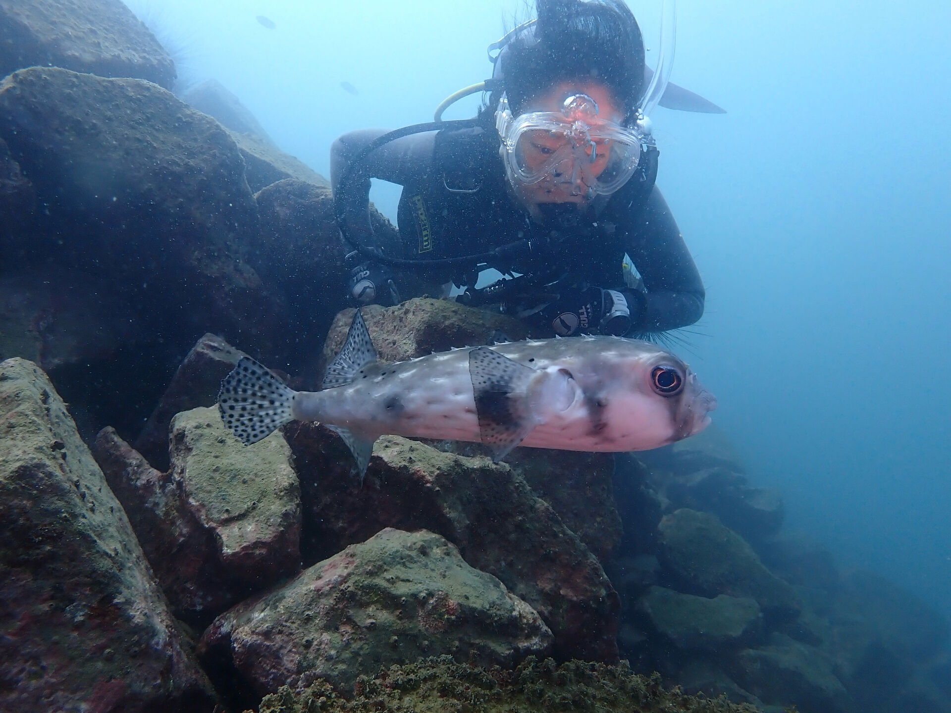 @rk.diving