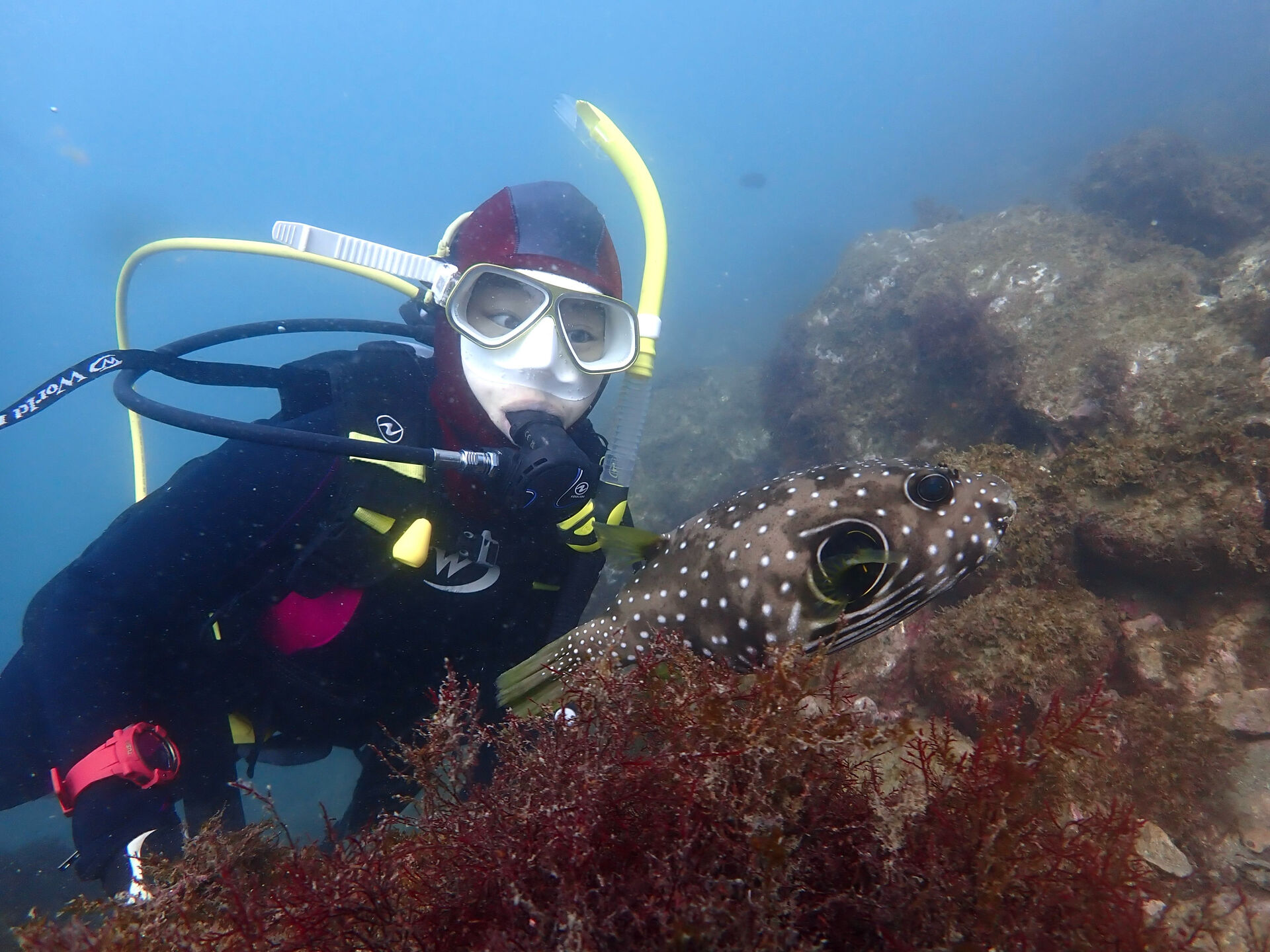 @rk.diving