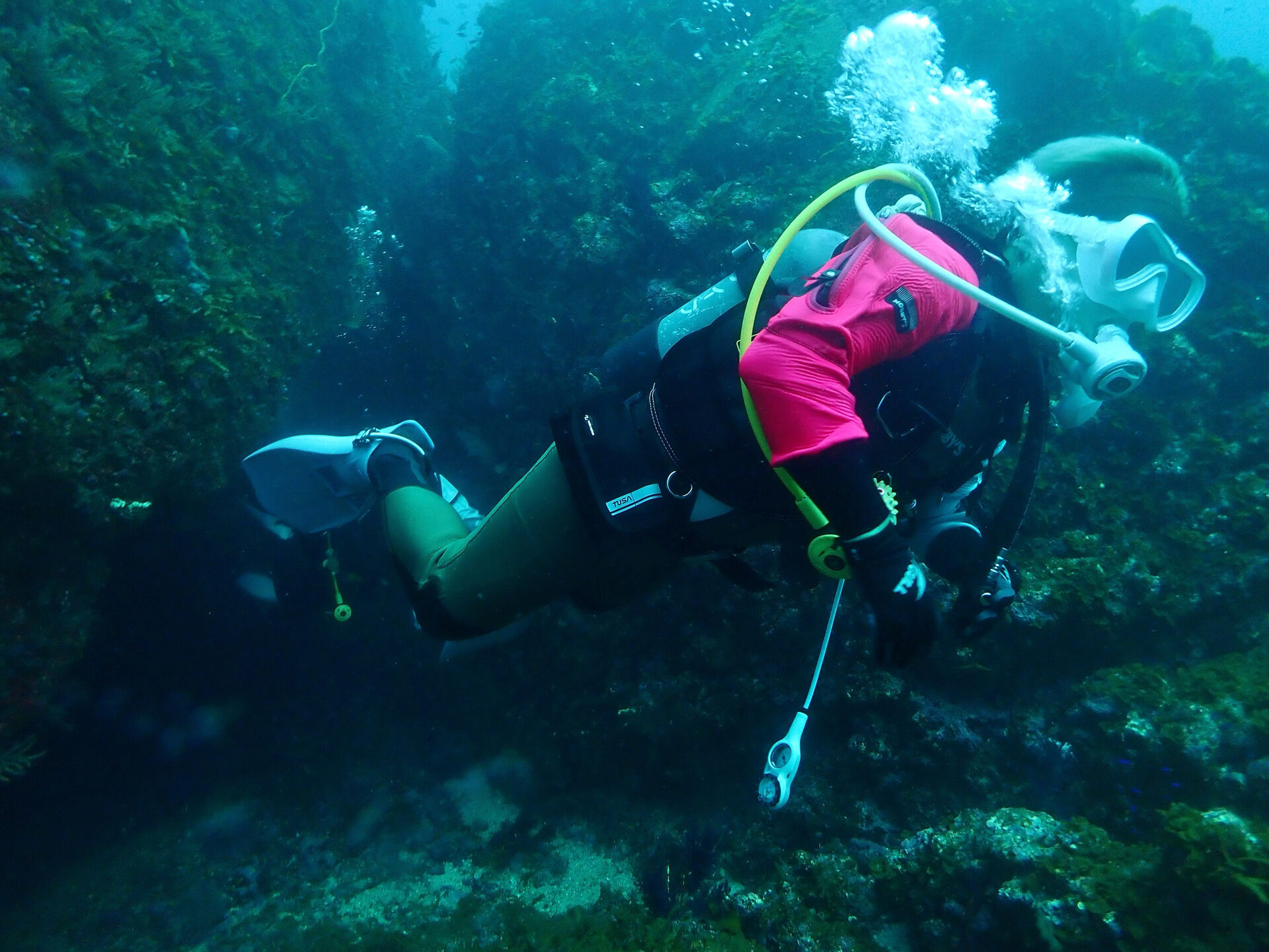 @rk.diving