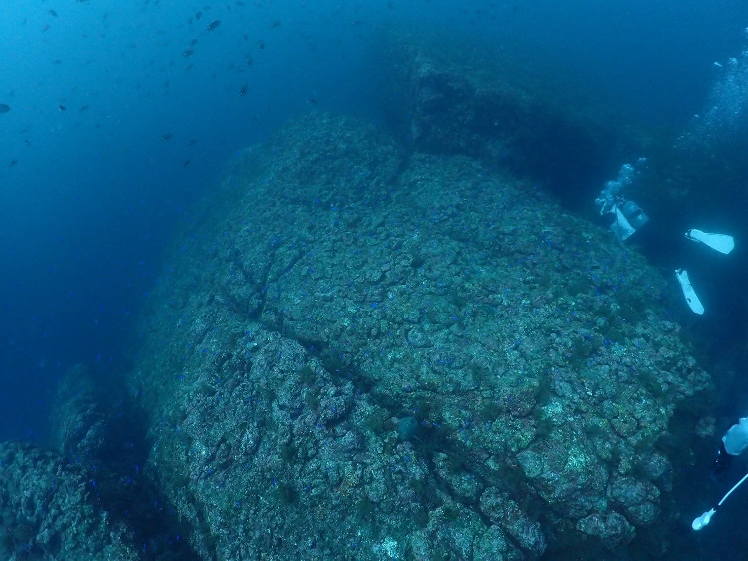 @rk.diving